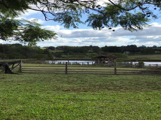 Chácara para Venda em Santa Cruz do Sul - 4