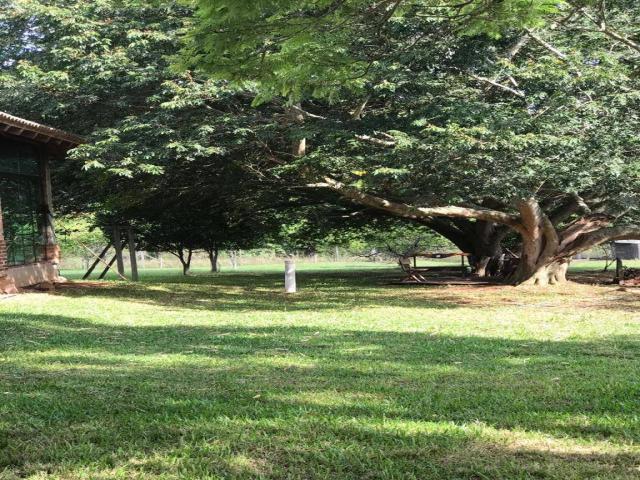Chácara para Venda em Santa Cruz do Sul - 5