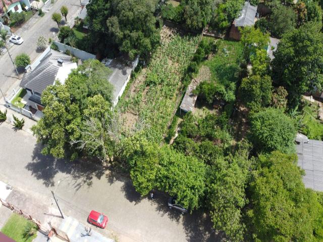 Área para Venda em Santa Cruz do Sul - 4